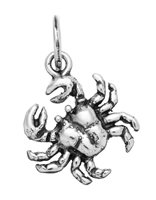 Charm Giovanni Raspini in Argento 08614 - 08614